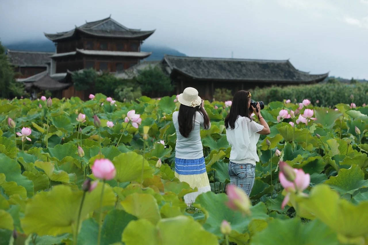 這個(gè)暑假云南昆明夏令營(yíng)活動(dòng)打造你的專屬成長(zhǎng)計(jì)劃！