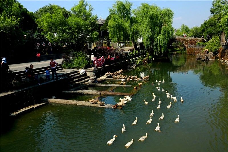 研學(xué)商業(yè)模式或?qū)⒕拮?！北京鼓?lì)社會(huì)力量參與博物館社教活動(dòng)開發(fā)和實(shí)施