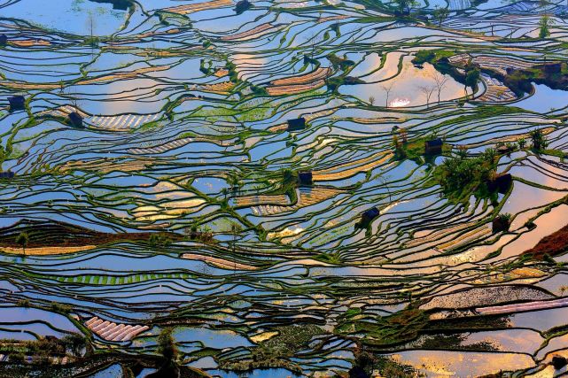 暑假想去云南旅游，有哪些旅游城市可以推薦