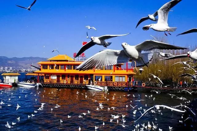 云南品質(zhì)游旅行社推薦，云南旅游選擇品質(zhì)旅游有什么優(yōu)點(diǎn)
