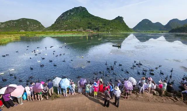 春節(jié)云南特輯 | 人少景美！春節(jié)云南旅游線路推薦十