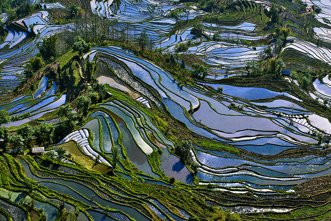 云南元陽(yáng)梯田最佳攝影旅游季節(jié)是什么時(shí)候呢？求告知！