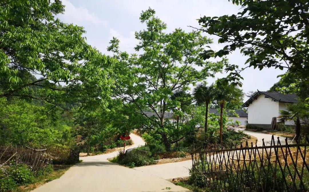云南鄉(xiāng)村旅游，“玩”出特色！德宏：打好發(fā)展組合拳