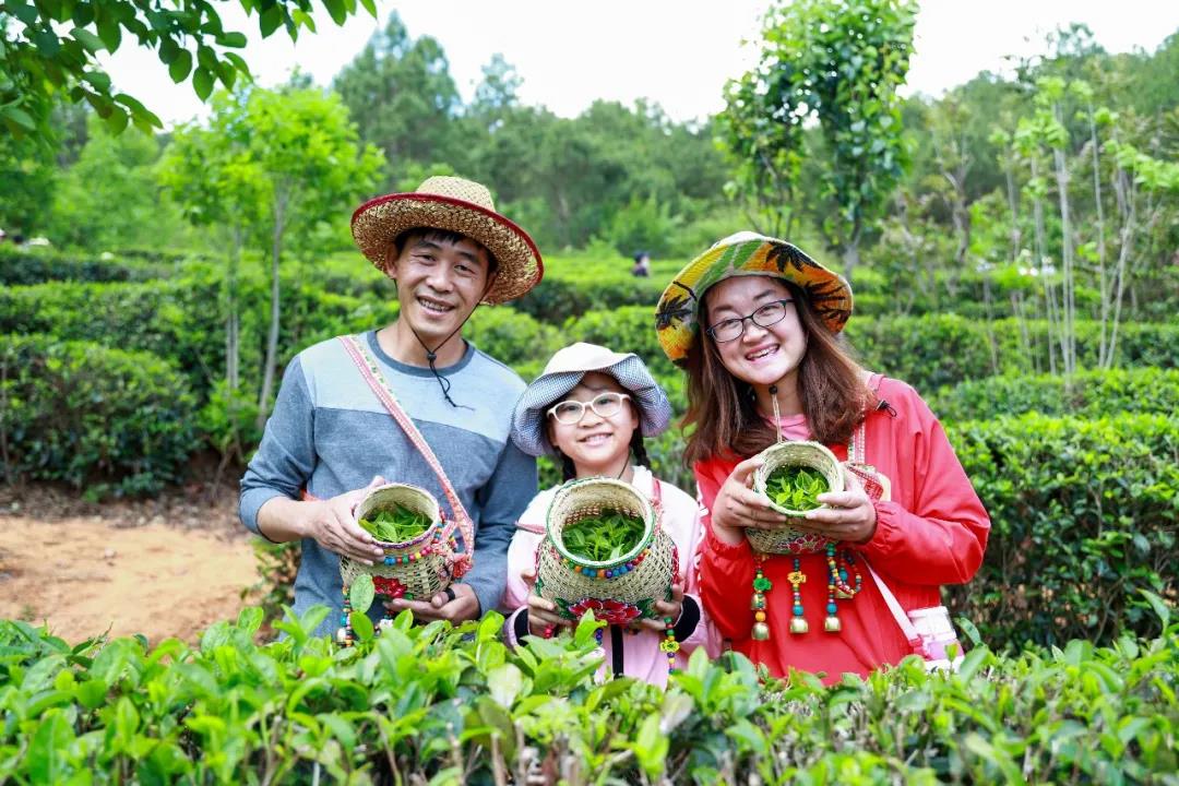 什么顏色最夏天？ 當(dāng)然是郁郁蔥蔥的綠色，周末帶著孩子體驗(yàn)最盎然的綠意