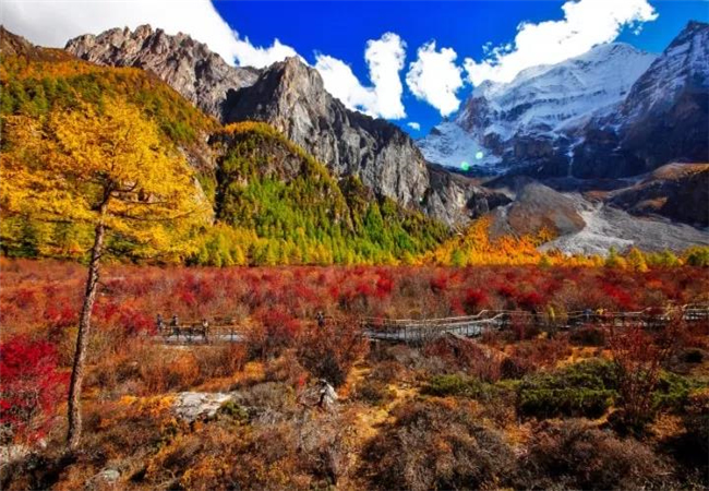 云南旅游攻略稻城亞丁的秋天， 美到炸裂了！?。? /></a>
                            </div>
                            <div   id=