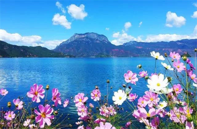 云南旅拍地推薦：七月的瀘沽湖，竟然可以美成這樣！