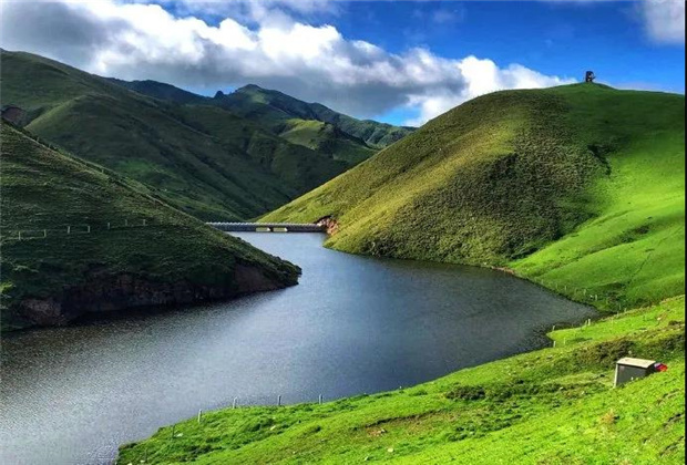 云南露營場地：夏天的大海草山，已經(jīng)美成了天堂！