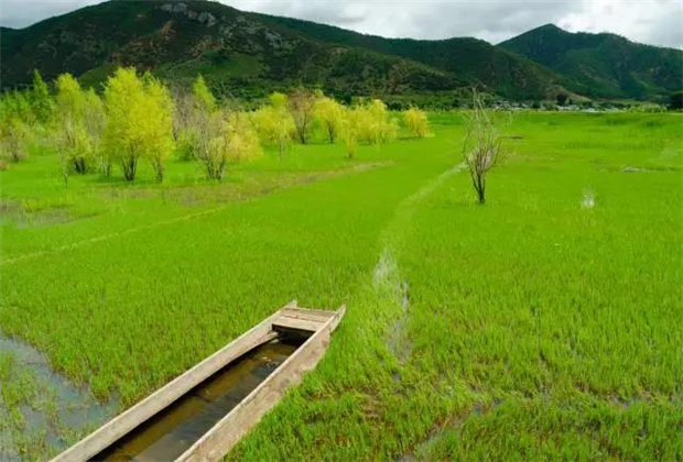 云南會展策劃：關(guān)于瀘沽湖的好風(fēng)景，都想與你分享！