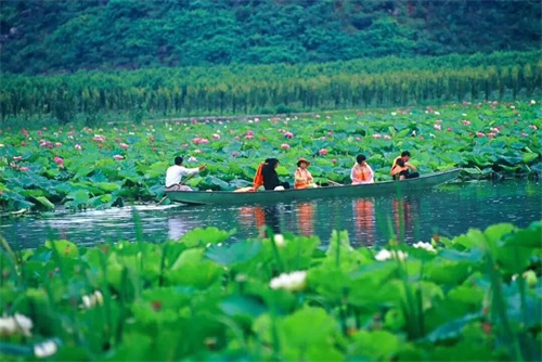 2022普者黑夏令營：山水田園，萬畝荷花游學(xué)，探訪彝族古村，感知民族文化！
