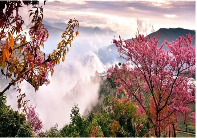【聚焦旅交會(huì) 相約游大理】來南澗，在彝鄉(xiāng)體驗(yàn)自然之謎與民族之美