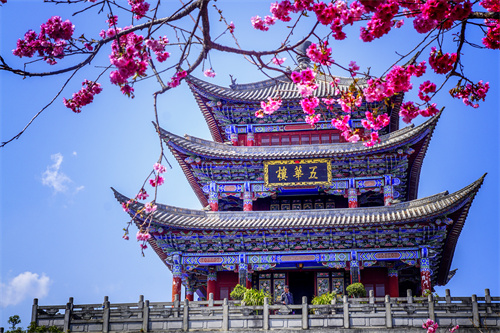 疫情過后，給自己來一場放縱的旅行...麗江的夏天愿你更美！