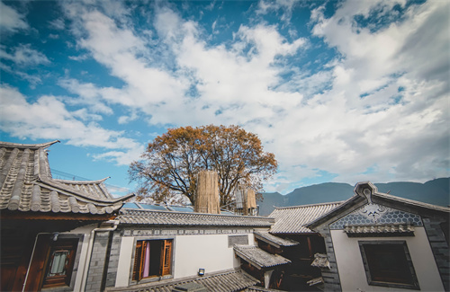 春節(jié)云南特輯 | 人少景美！春節(jié)云南旅游線路推薦三