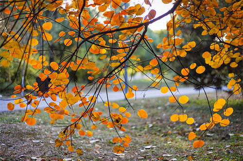 云南文創(chuàng)雪糕火出圈，“雪糕+景點”網(wǎng)紅式打卡驚靚一夏！