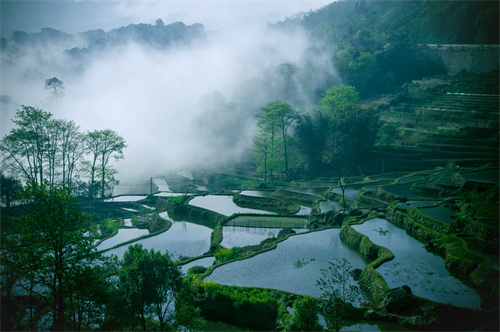 鄉(xiāng)村健康養(yǎng)生產(chǎn)業(yè)的客戶群體有哪些？它有什么開發(fā)要點？