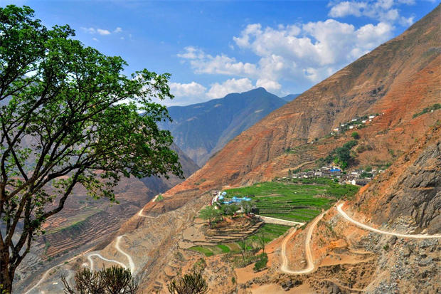 云南旅游,云南旅行社,云南團(tuán)建公司,云南會(huì)議公司,大理旅游,大理旅行社,大理團(tuán)建公司,大理會(huì)議公司：云南第一棵咖啡樹，在哪？