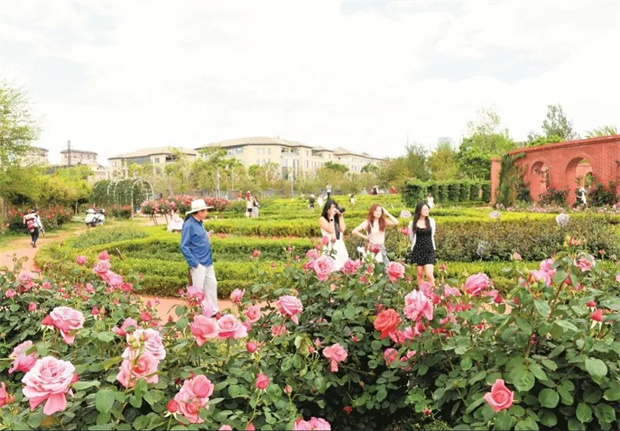 云南旅游,云南旅行社,云南團(tuán)建公司,云南策劃公司,云南會(huì)議公司,昆明旅游,昆明旅行社,昆明團(tuán)建公司,昆明策劃公司,昆明會(huì)議執(zhí)行：旅居昆明，在花海里通關(guān)四季！花歷正在更新，等你來簽收春天→